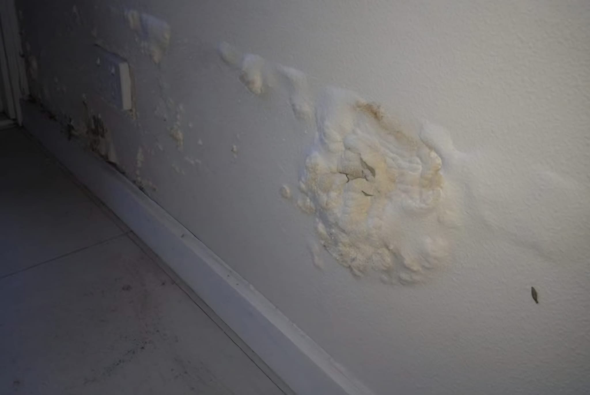 Reparación de humedades